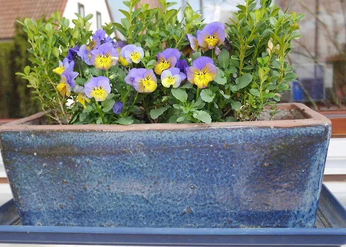 Accommodatie bij particulieren Ruhiges Naehe Messe Mit Wallbox
