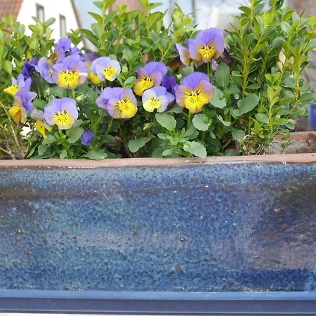 Séjour chez l'habitant Ruhiges Naehe Messe Mit Wallbox